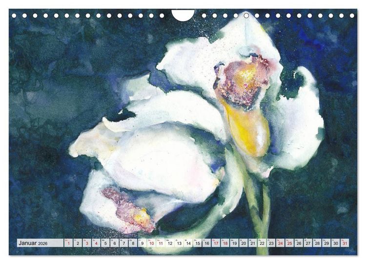 Produktbild: Blumenaquarelle aus der N&auml;he (Wandkalender 2026 DIN A4 quer), CALVENDO Monatskalender