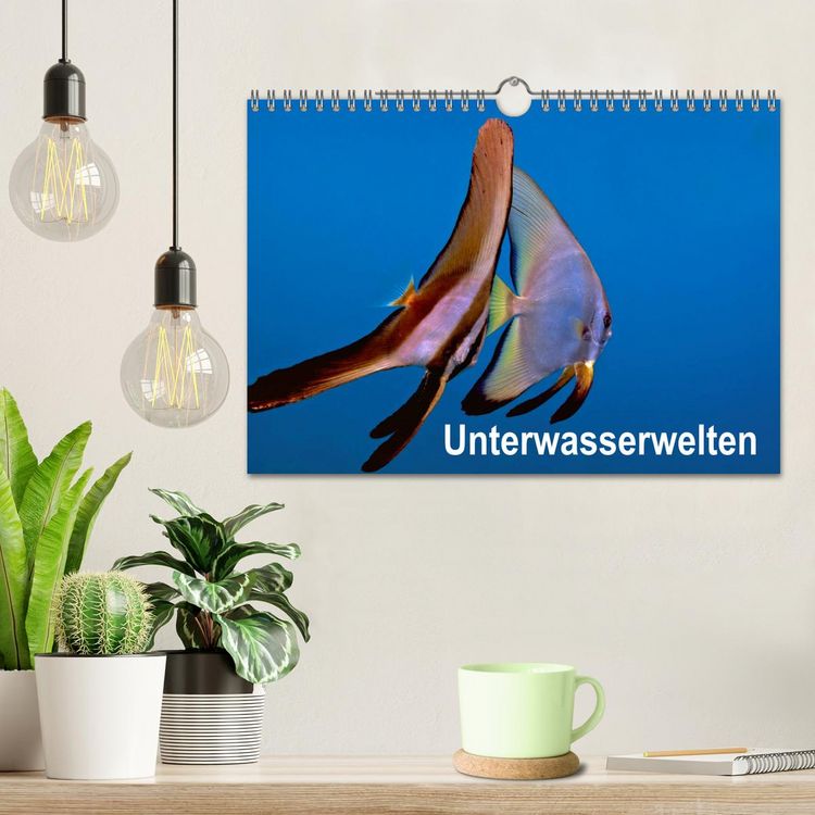 Produktbild: Unterwasserwelten (Wandkalender 2026 DIN A4 quer), CALVENDO Monatskalender