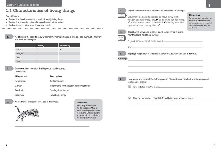Produktbild: Lower Secondary Science Workbook: Stage 7