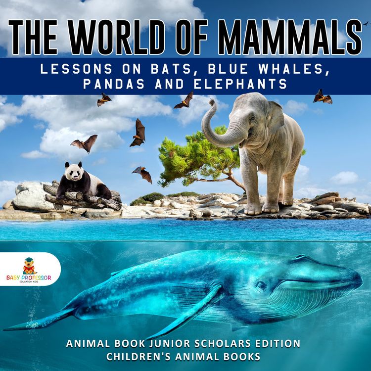 Produktbild: The World of Mammals: Lessons on Bats, Blue Whales, Pandas and Elephants | Animal Book Junior Scholars Edition | Children's Animal Books
