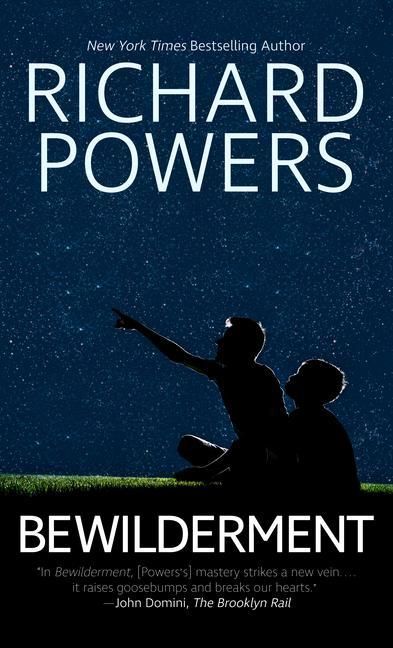 Produktbild: Bewilderment