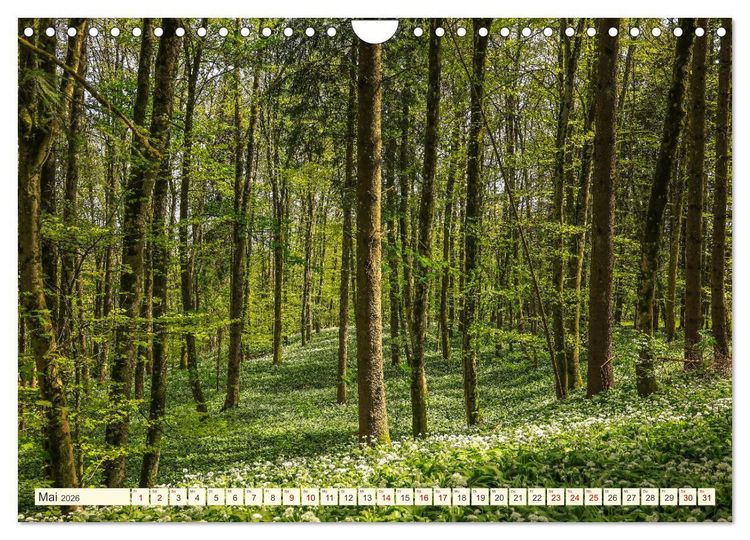 Produktbild: Hegau und Bodensee - Lieblingsorte entdecken (Wandkalender 2026 DIN A4 quer), CALVENDO Monatskalender