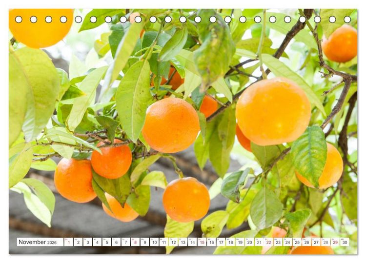 Produktbild: Emotionale Momente: Orangen & Zitronen. (Tischkalender 2026 DIN A5 quer), CALVENDO Monatskalender