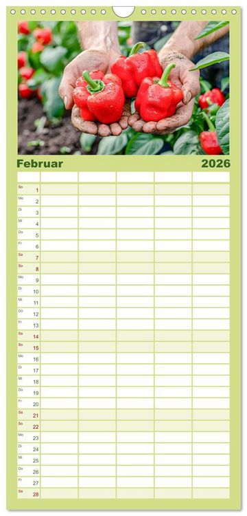 Produktbild: Familienplaner 2026 - Mein Gem&uuml;segarten - Ein Jahr knackig frisches Gem&uuml;se mit 5 Spalten (Wandkalender, 21 x 45 cm) CALVENDO