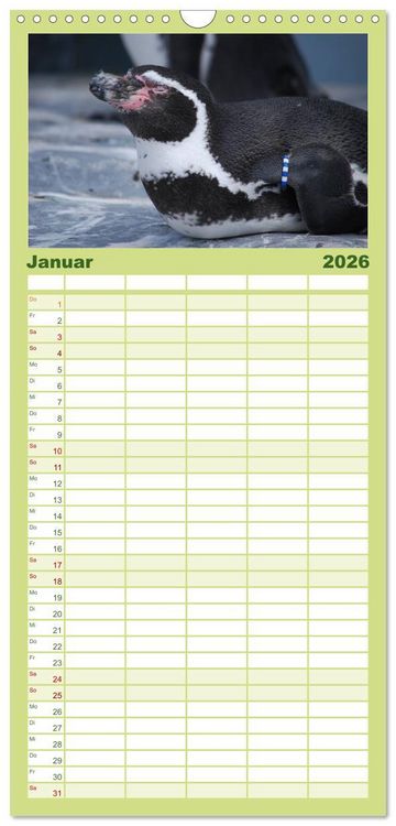 Produktbild: Familienplaner 2026 - Pinguine 2026 mit 5 Spalten (Wandkalender, 21 x 45 cm) CALVENDO