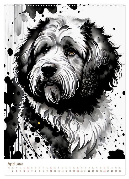 Produktbild: Der Labradoodle (Wandkalender 2026 DIN A2 hoch), CALVENDO Monatskalender