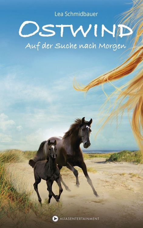 Produktbild: Auf der Suche nach Morgen / Ostwind Bd.4