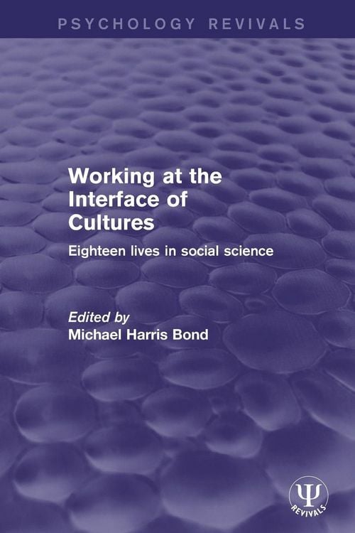 Produktbild: Working at the Interface of Cultures
