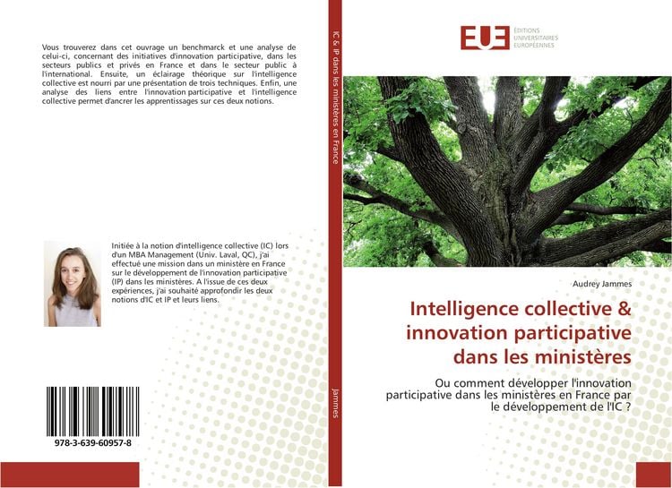 Produktbild: Intelligence collective & innovation participative dans les minist&egrave;res