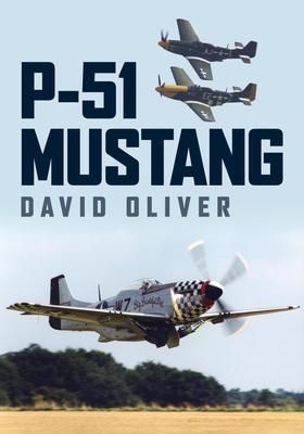 Produktbild: P-51 Mustang