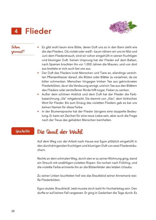 Produktbild: Die Welt der D&uuml;fte - Geschichten und Aktivierungen f&uuml;r Senioren - auch mit Demenz