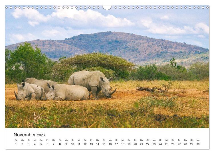 Produktbild: Safari durch Afrika (Wandkalender 2026 DIN A3 quer), CALVENDO Monatskalender
