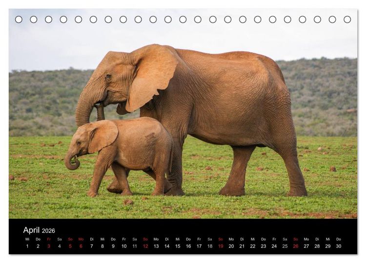 Produktbild: Faszinierendes S&uuml;dafrika (Tischkalender 2026 DIN A5 quer), CALVENDO Monatskalender