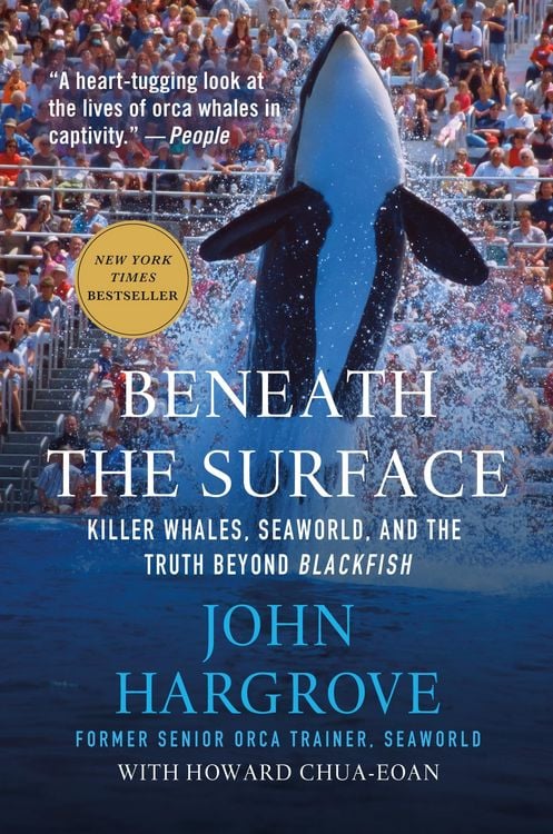Produktbild: Beneath the Surface