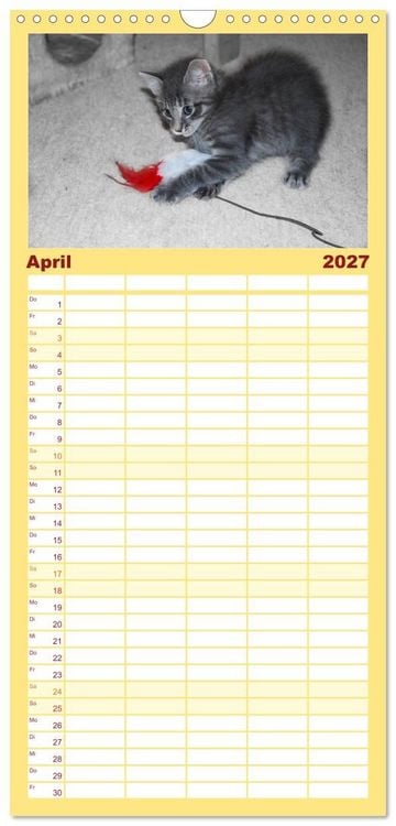 Produktbild: Familienplaner 2027 - Die Launen der Katzen 2027 mit 5 Spalten (Wandkalender, 21 x 45 cm) CALVENDO