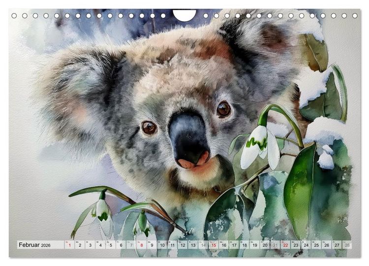 Produktbild: Koalas, liebenswerte kleine Schlafm&uuml;tzen (Wandkalender 2026 DIN A4 quer), CALVENDO Monatskalender