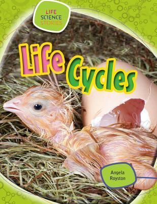 Produktbild: Life Cycles