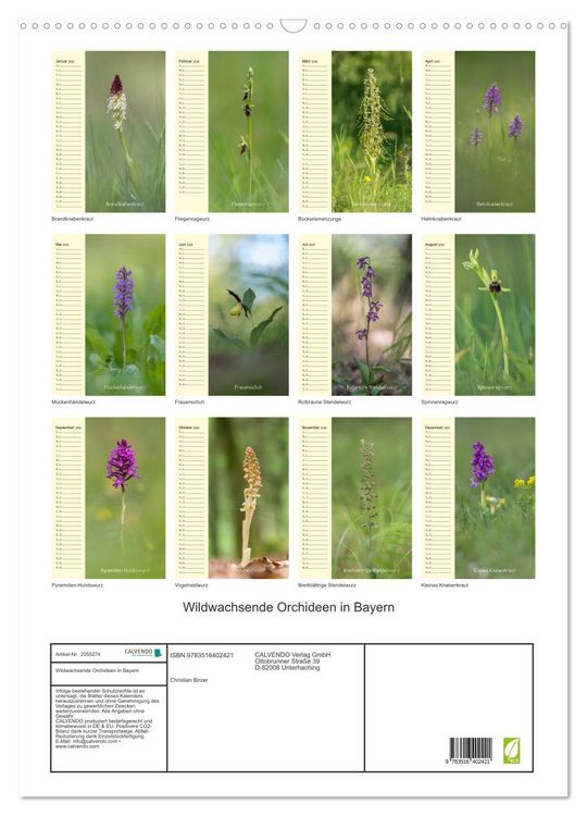 Produktbild: Wildwachsende Orchideen in Bayern (Wandkalender 2026 DIN A2 hoch), CALVENDO Monatskalender