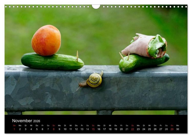 Produktbild: Kleine B&auml;nderschnecke ganz gro&szlig; - Gem&uuml;tlich durch das neue Jahr (Wandkalender 2026 DIN A3 quer), CALVENDO Monatskalender
