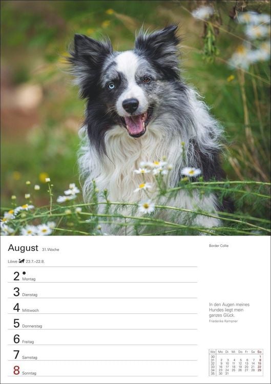 Produktbild: Hunde Wochenplaner 2027 - 53 faszinierende Fotografien