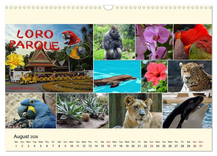 Produktbild: Enchanting Tenerife (Wall Calendar 2026 DIN A3 landscape), CALVENDO 12 Month Wall Calendar