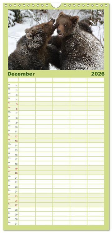 Produktbild: Familienplaner 2026 - Die lieben Kleinen ... Tierkinder einfach zum Knuddeln mit 5 Spalten (Wandkalender, 21 x 45 cm) CALVENDO