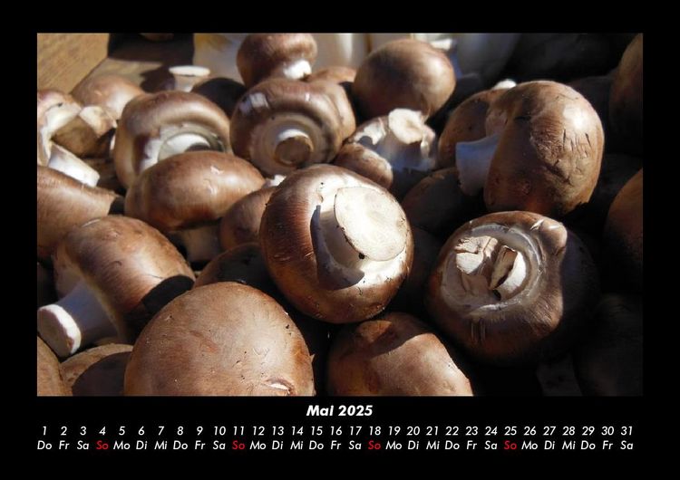 Produktbild: Pilzkalender 2025 Fotokalender DIN A3