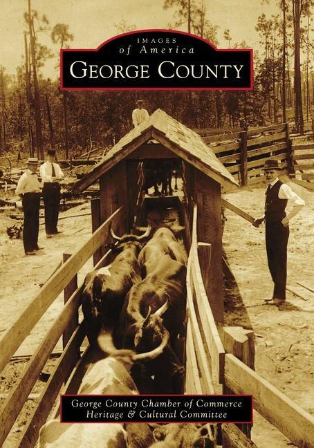 Produktbild: George County