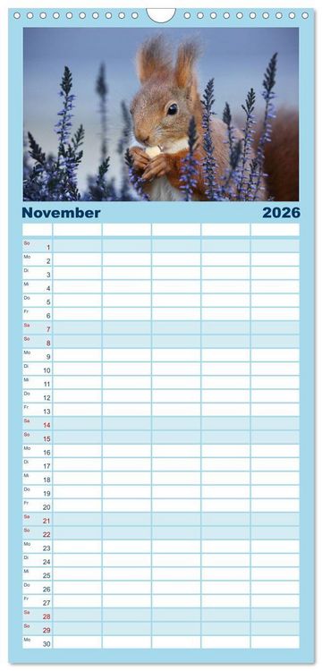 Produktbild: Familienplaner 2026 - Eichh&ouml;rnchen Luna und ihre Kinder mit 5 Spalten (Wandkalender, 21 x 45 cm) CALVENDO