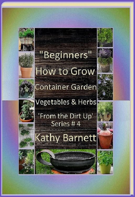 Produktbild: "Beginners" How to Grow Container Garden Vegetables and Herbs 'From the Dirt Up Series'