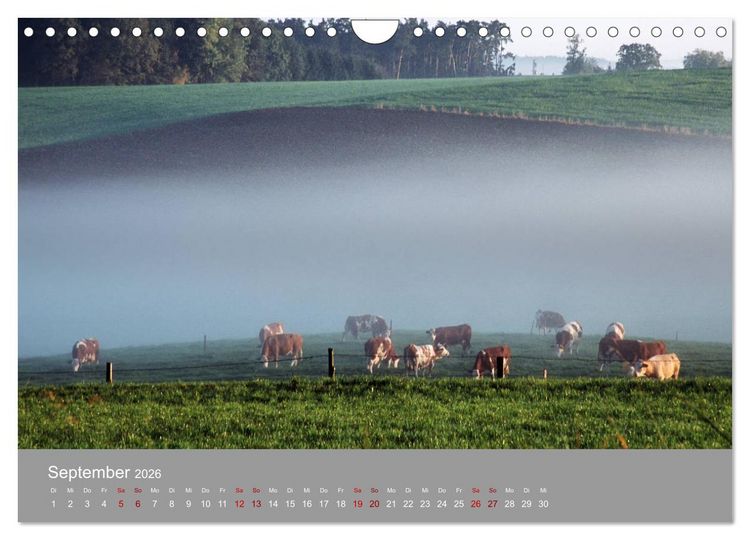 Produktbild: Hallertau (Wandkalender 2026 DIN A4 quer), CALVENDO Monatskalender