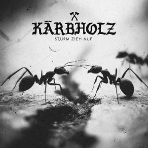 Produktbild: Sturm zieh auf (Ltd Natural Black Marbled Vinyl)