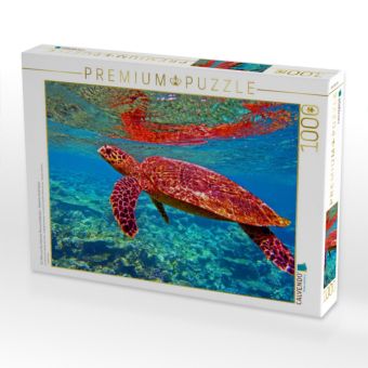Produktbild: CALVENDO Puzzle Ein Motiv aus dem Kalender Meeresschildkr&ouml;ten - Bedrohte Sch&ouml;nheiten | 1000 Teile Lege-Gr&ouml;&szlig;e 64x48cm Foto-Puzzle f&uuml;r gl&uuml;ckliche Stunden