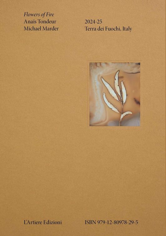 Produktbild: Flowers of Fire