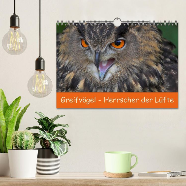 Produktbild: Greifv&ouml;gel - Herrscher der L&uuml;fte (Wandkalender 2026 DIN A4 quer), CALVENDO Monatskalender