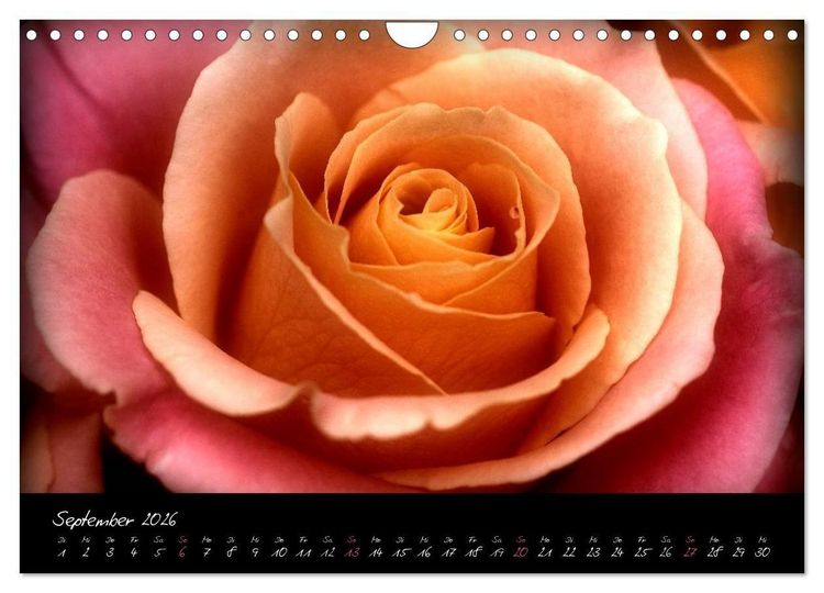 Produktbild: Serenade - Visuelle Musik der Blumen (Wandkalender 2026 DIN A4 quer), CALVENDO Monatskalender