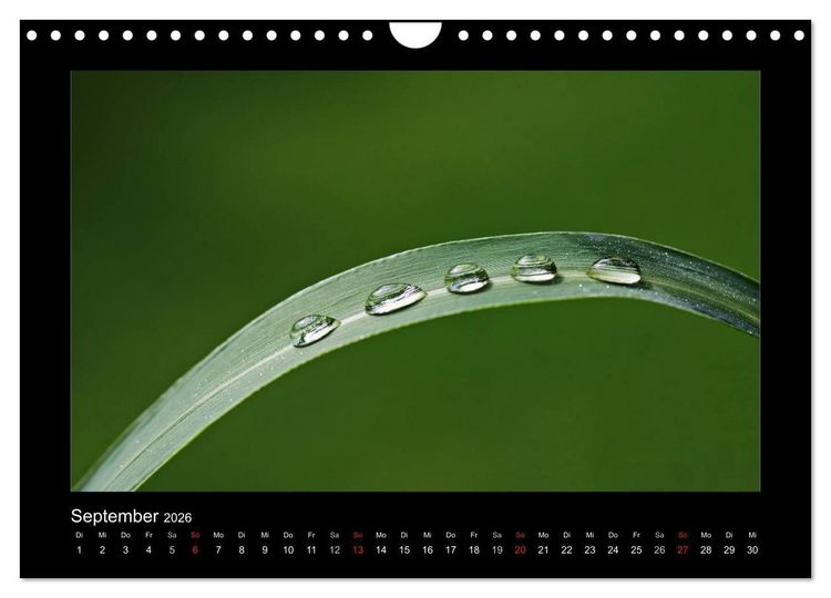 Produktbild: Meine kleine gr&uuml;ne Wassertropfen Welt (Wandkalender 2026 DIN A4 quer), CALVENDO Monatskalender