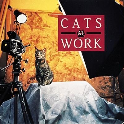 Produktbild: Cats at Work: My Point of View