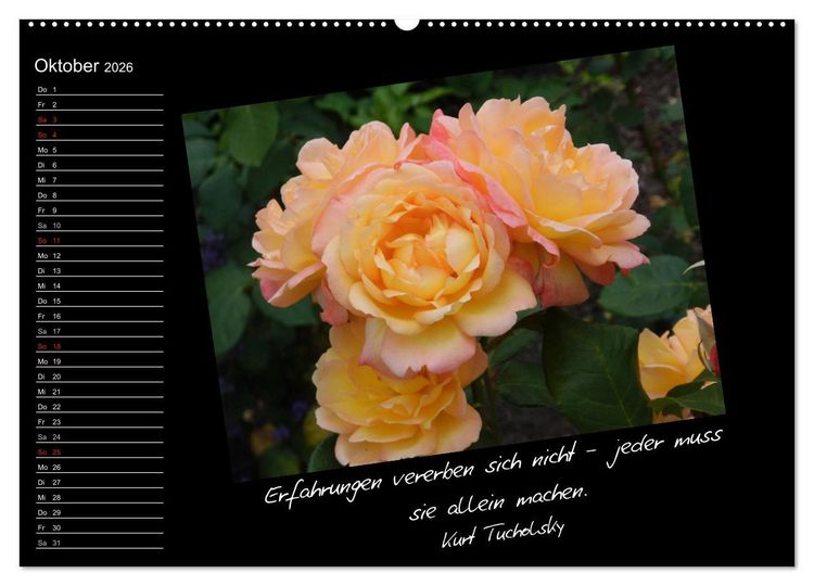 Produktbild: Gelbe Lebensfreude (Wandkalender 2026 DIN A2 quer), CALVENDO Monatskalender