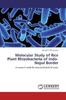 Produktbild: Shrivastava, U: Molecular Study of Rice Plant Rhizobacteria
