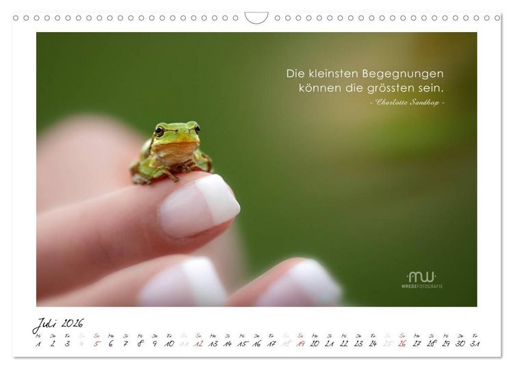Produktbild: Gedanken... Bildkalender mit Spr&uuml;chen (Wandkalender 2026 DIN A3 quer), CALVENDO Monatskalender