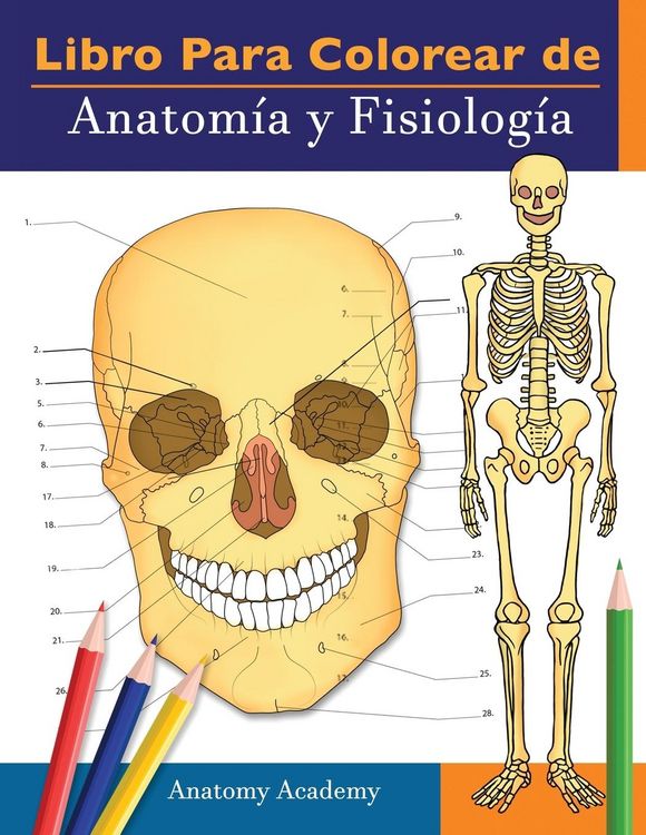 Produktbild: Libro para colorear de Anatom&iacute;a y Fisiolog&iacute;a