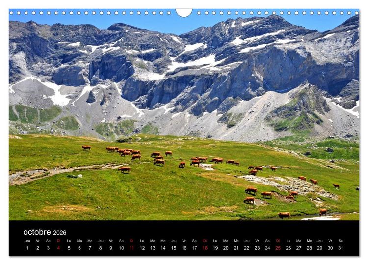 Produktbild: Couleurs Pyr&eacute;n&eacute;es (Calendrier mural 2026 DIN A3 vertical), CALVENDO calendrier mensuel