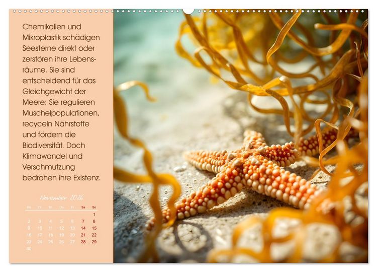 Produktbild: Meerestiere in Gefahr - Unsere Ozeane, unsere Verantwortung (hochwertiger Premium Wandkalender 2026 DIN A2 quer), Kunstdruck in Hochglanz