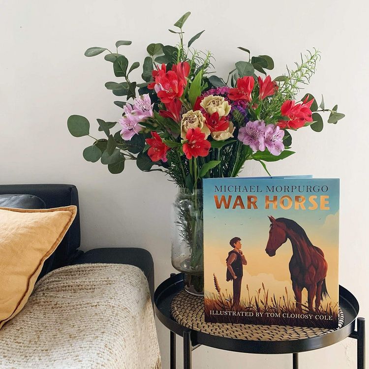 Produktbild: War Horse picture book