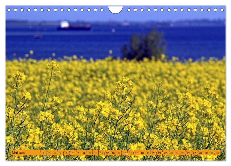 Produktbild: Wismarer Bucht - Impressionen zwischen Kl&uuml;tzer Winkel und der Insel Poel (Wandkalender 2026 DIN A4 quer), CALVENDO Monatskalender
