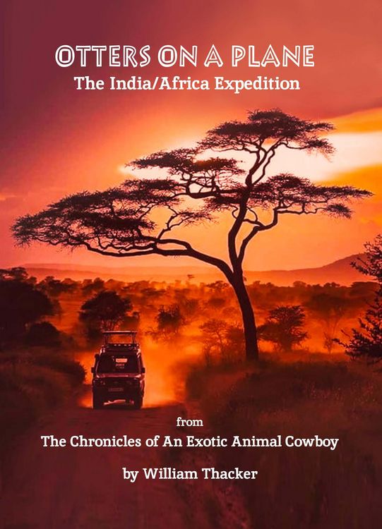Produktbild: Otters On A Plane - The India/Africa Expedition (The Chronicles of An Exotic Animal Cowboy)