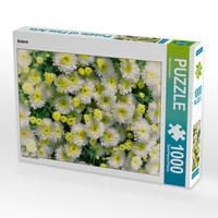 Produktbild: CALVENDO Puzzle Astern | 1000 Teile Lege-Gr&ouml;&szlig;e 64x48cm Foto-Puzzle f&uuml;r gl&uuml;ckliche Stunden
