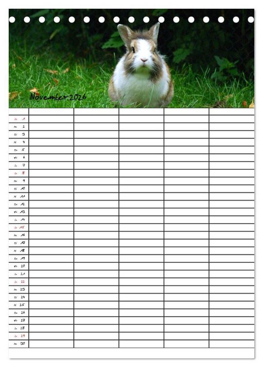 Produktbild: Meerschweinchen und Kaninchen Familienplaner (Tischkalender 2026 DIN A5 hoch), CALVENDO Monatskalender