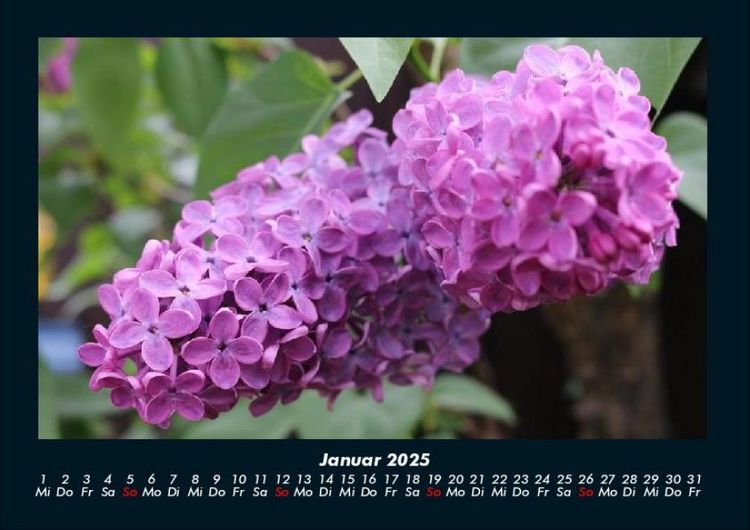 Produktbild: Blumenzauber 2025 Fotokalender DIN A4